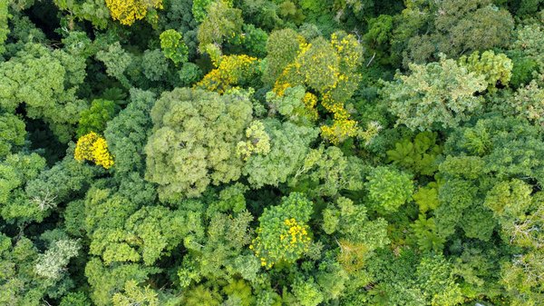 Le rêve américain est-il accessible à toutes les classes sociales ?