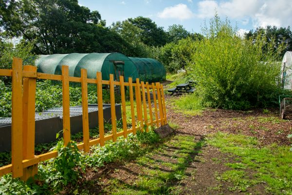Les bénéfices du compostage pour votre jardin